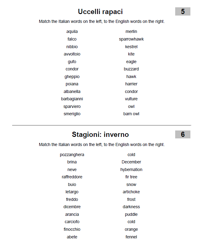 Italian Word Match