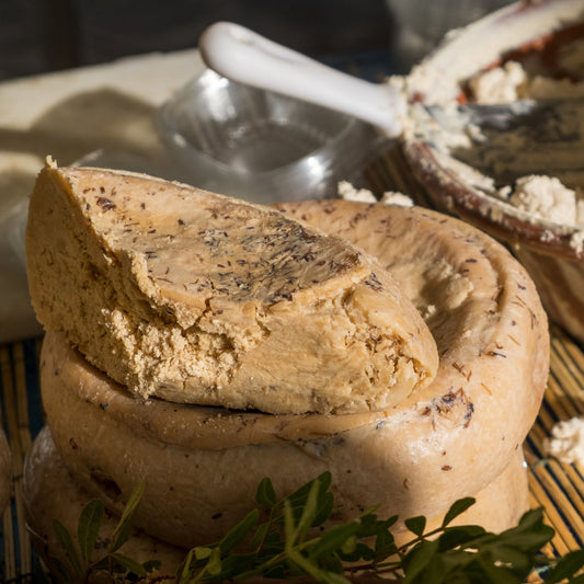 Sardinian Rotten Cheese Casu Marzu